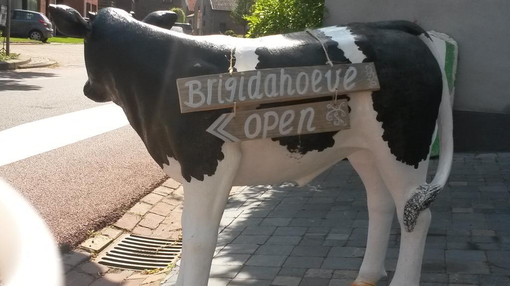 Brigidahoeve Maastricht Ngoại thất bức ảnh
